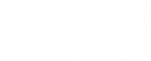 NDR media Logo weiss