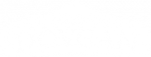 Dovgan Logo weiss